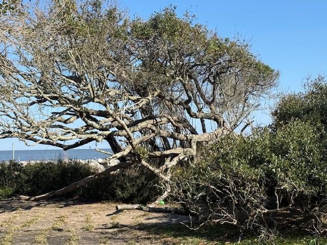 1175 N Beachview Dr Unit 279, Jekyll Island, GA 31527 - view of nature featuring a nearby body of water