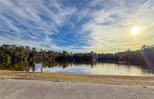1151 W Mission Ln SE, Darien, GA 31305 - water view