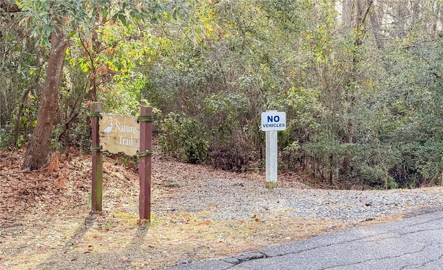 1151 W Mission Ln SE, Darien, GA 31305 - exterior view of a forest