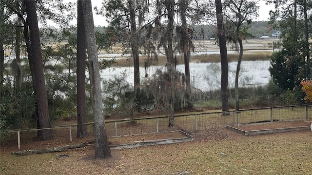 1151 W Mission Ln SE, Darien, GA 31305 - view of yard with a water view