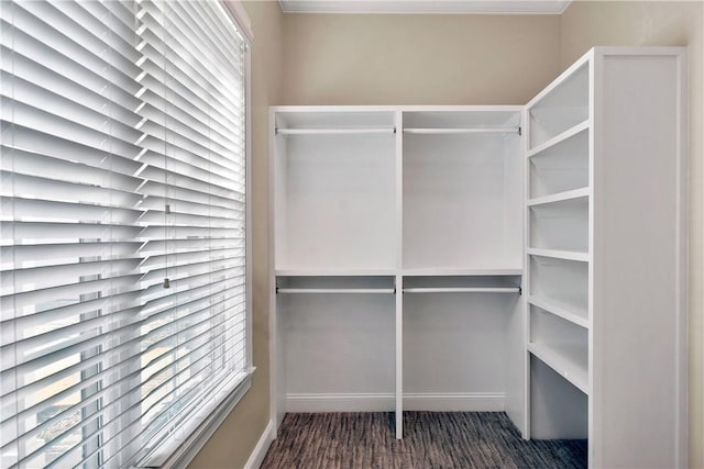 168 Township Bluff Cir, Saint Simons Island, GA 31522 - view of spacious closet