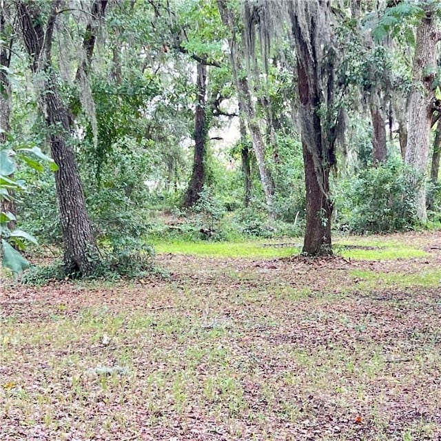 view of yard featuring a wooded view