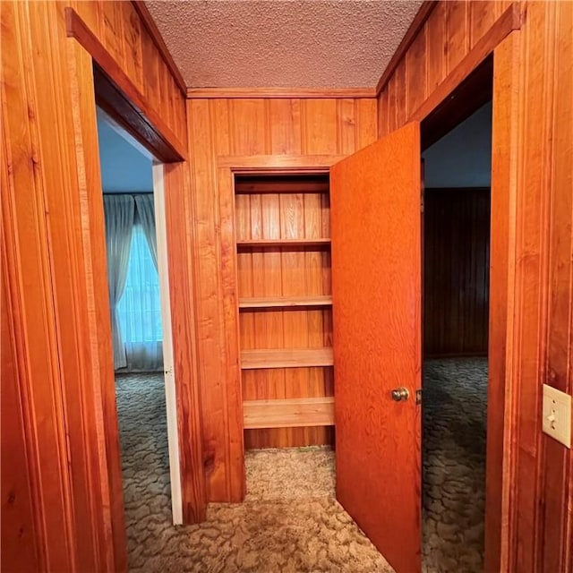 hallway featuring wood walls, a textured ceiling, and carpet flooring