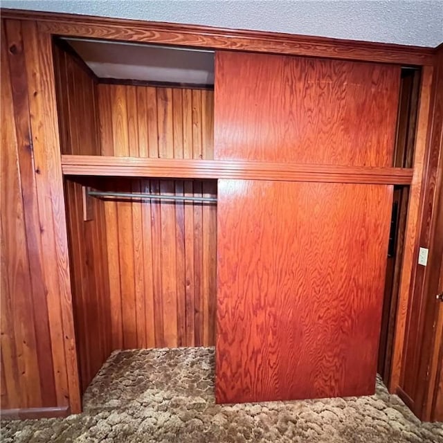 interior space featuring wooden walls, carpet, and a textured ceiling