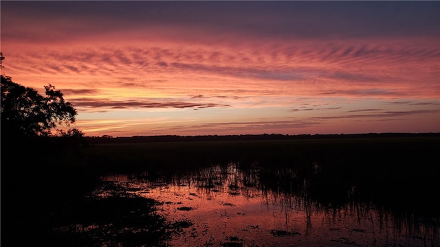 view of nature at dusk