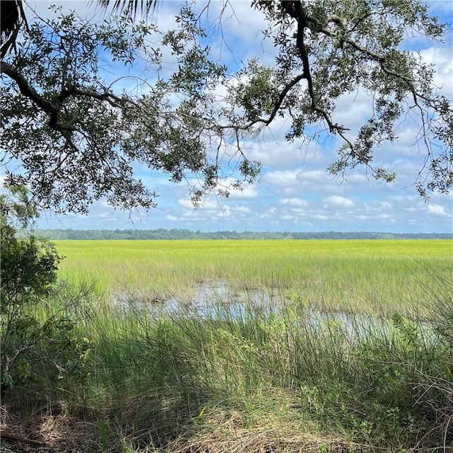 view of local wilderness with a rural view