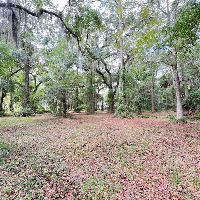 view of yard featuring a wooded view