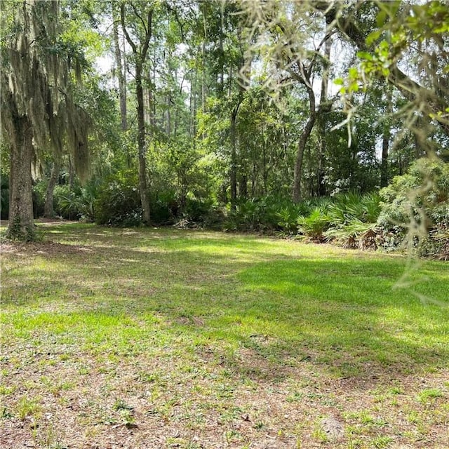 view of yard with a forest view