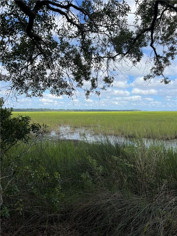 view of nature with a water view and a rural view