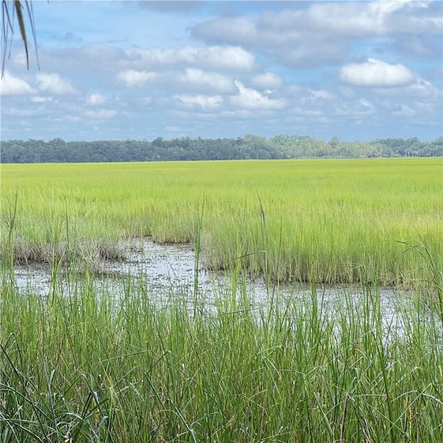 view of local wilderness featuring a water view