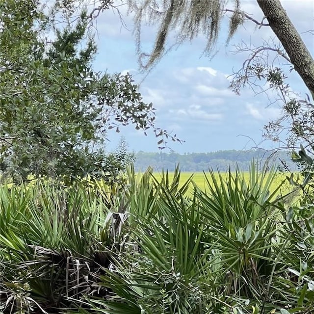 view of landscape