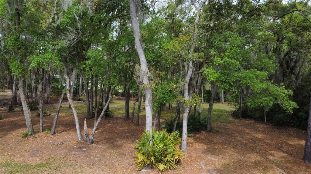 LOT3 Kelsey Way, Darien, GA 31305