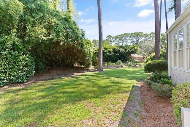 104 Augusta, Saint Simons Island, GA 31522 - view of yard with fence
