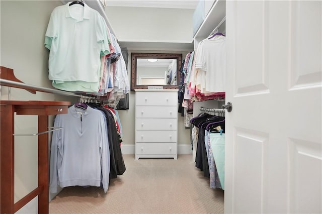 walk in closet with carpet floors