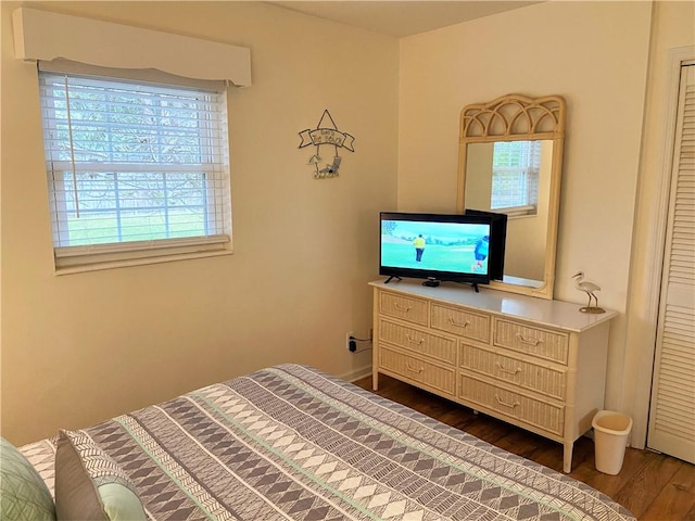 bedroom featuring multiple windows and dark wood-style flooring