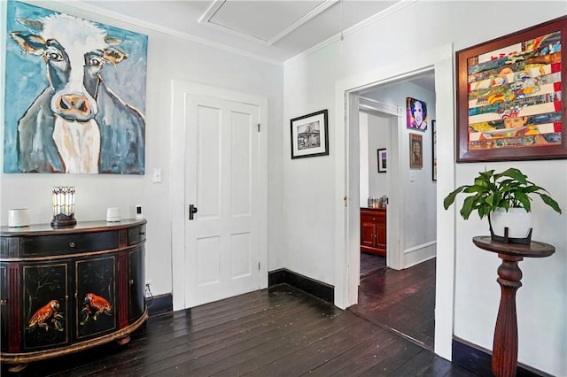 604 Union St, Brunswick, GA 31520 - hallway with hardwood / wood-style flooring and ornamental molding