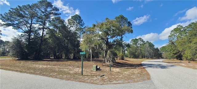 153 Sapelo Park, Townsend, GA 31331 - photo 4