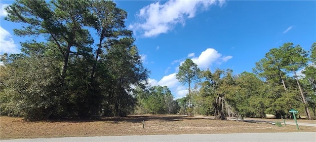 153 Sapelo Park, Townsend, GA 31331 - photo 5