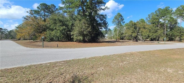 153 Sapelo Park, Townsend, GA 31331 - photo 3