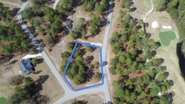 153 Sapelo Park, Townsend, GA 31331 - photo 2