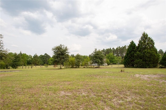 3 Dixon Ln, Blackshear, GA 31516 - view of grassy yard with a rural view