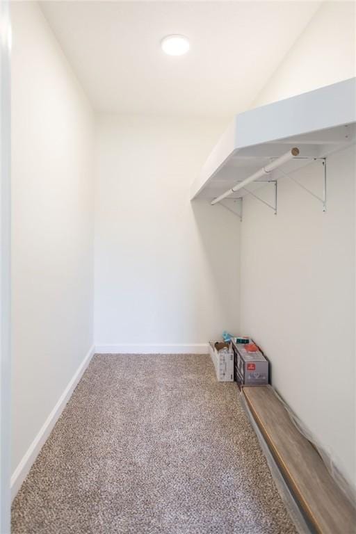 3 Dixon Ln, Blackshear, GA 31516 - walk in closet with carpet floors