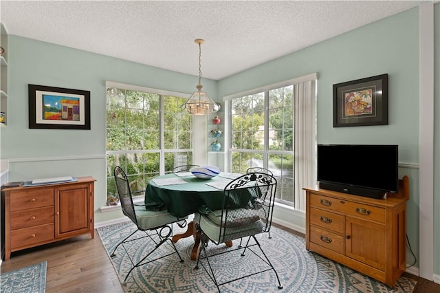 dining room featuring a healthy amount of sunlight, light hardwood / wood-style floors, and a textured ceiling