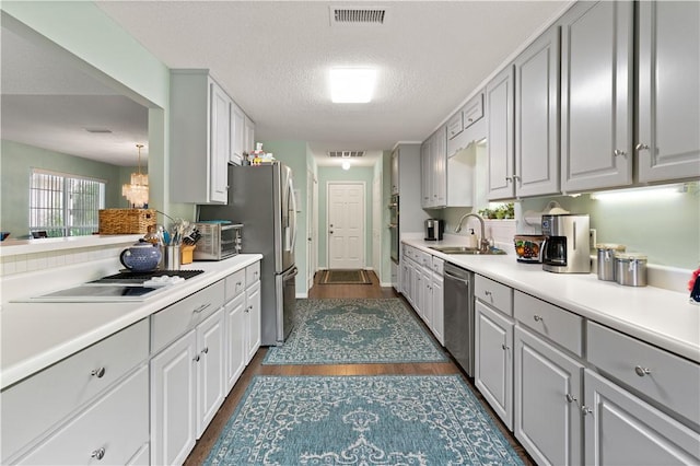 kitchen with appliances with stainless steel finishes, gray cabinetry, a textured ceiling, dark wood-type flooring, and sink