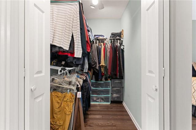 spacious closet with dark hardwood / wood-style flooring