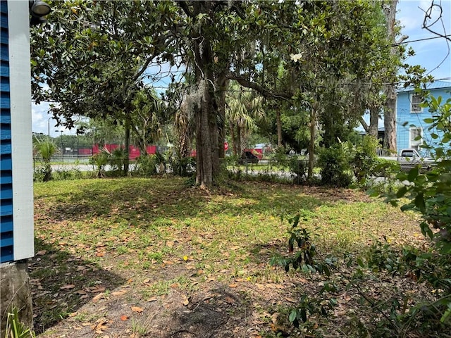 1108 George St, Brunswick, GA 31520 - view of yard