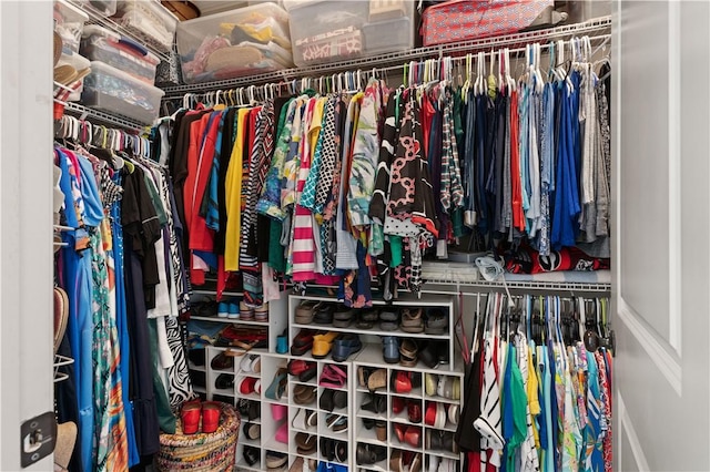 view of walk in closet