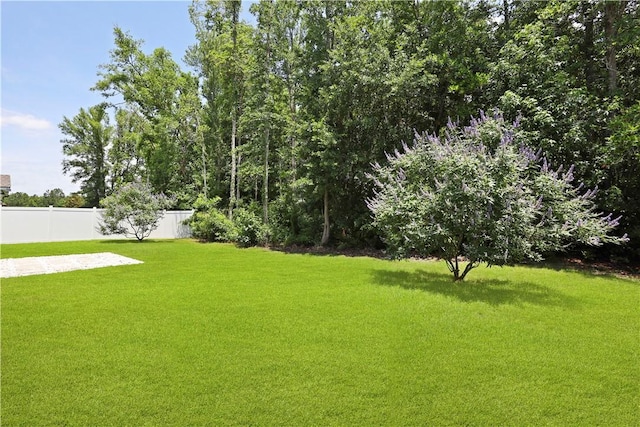 138 Clearwater Dr, Brunswick, GA 31523 - view of yard