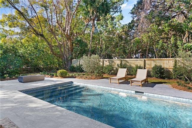 view of pool with a patio