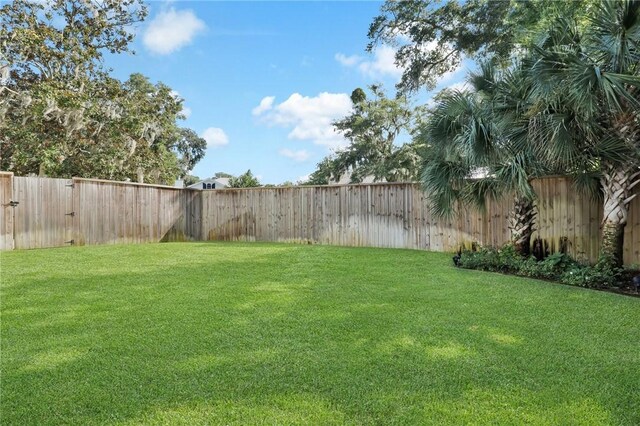 4 Lake View Cottages Ct, Saint Simons Island, GA 31522 - view of yard