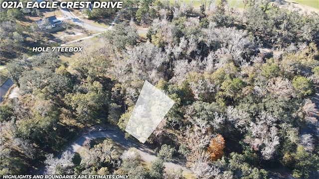 LOT21A Eagle Crest Dr, Waverly GA, 31565 land for sale