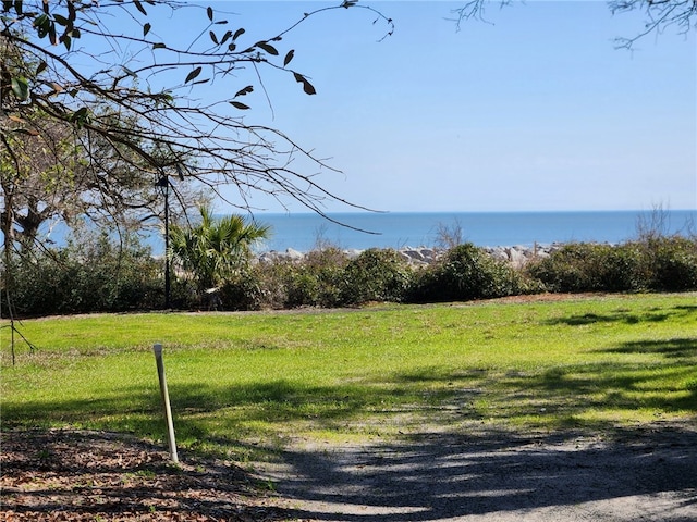 1175 N Beachview Dr Unit 286, Jekyll Island, GA 31527 - view of yard with a water view