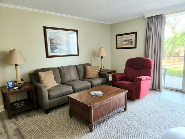 1175 N Beachview Dr Unit 286, Jekyll Island, GA 31527 - living room with ornamental molding, a textured ceiling, and light hardwood / wood-style flooring