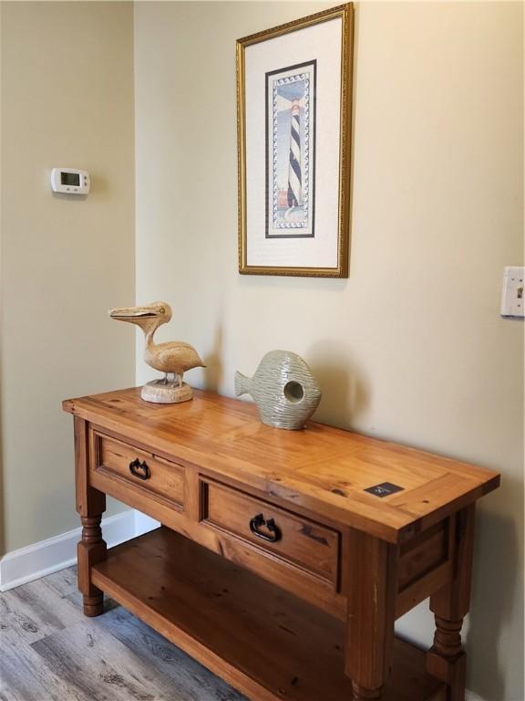 1175 N Beachview Dr Unit 286, Jekyll Island, GA 31527 - room details featuring wood-type flooring