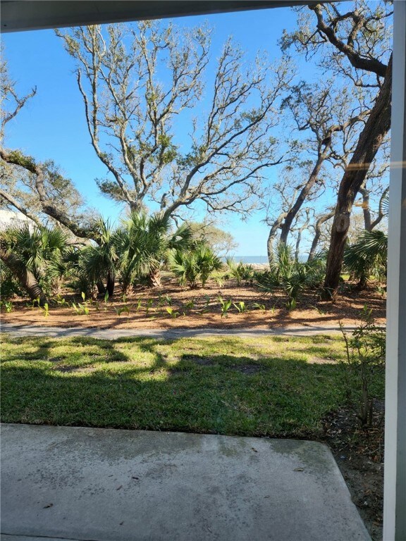 1175 N Beachview Dr Unit 286, Jekyll Island, GA 31527 - view of yard