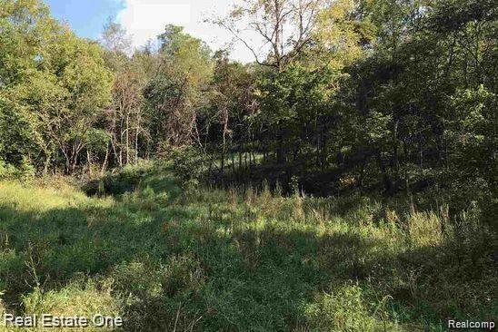 00 E Huron Rd, Au Gres MI, 48703 land for sale