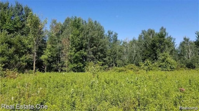 Listing photo 2 for 00 E Huron Rd, Au Gres MI 48703