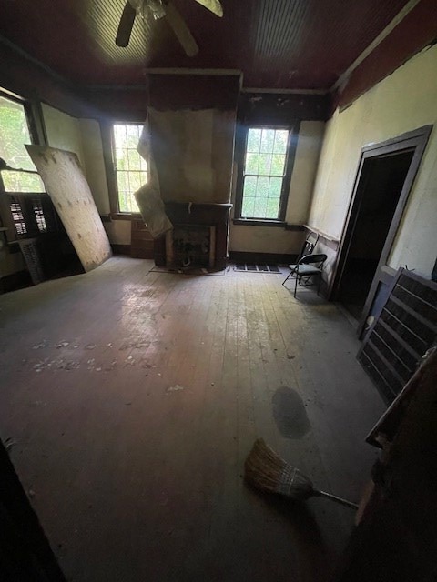 living room with ceiling fan and hardwood / wood-style floors