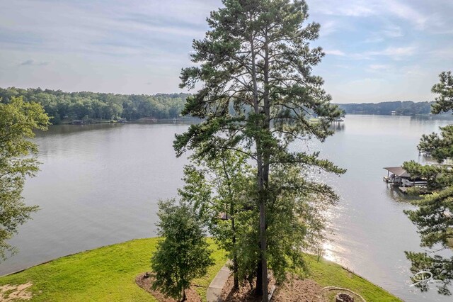 655A2 Sandy Run Dr, Sparta, GA 31087 - photo 39