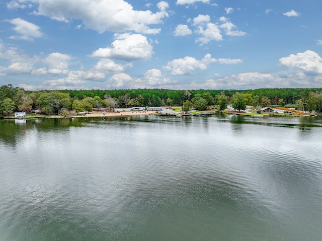 property view of water