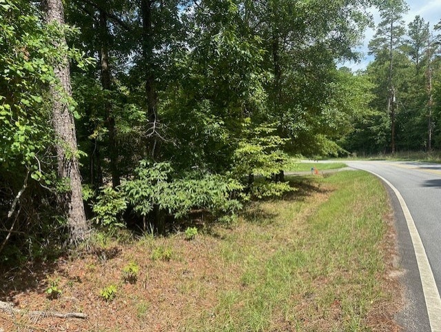 117 Bluegill Rd, Eatonton, GA 31024 - photo 4