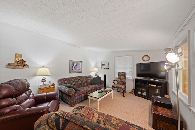 carpeted living area featuring a textured ceiling and crown molding
