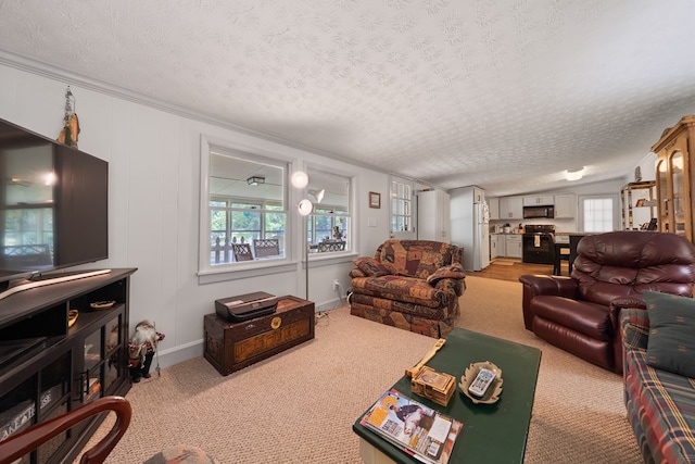 living room featuring a textured ceiling and light colored carpet