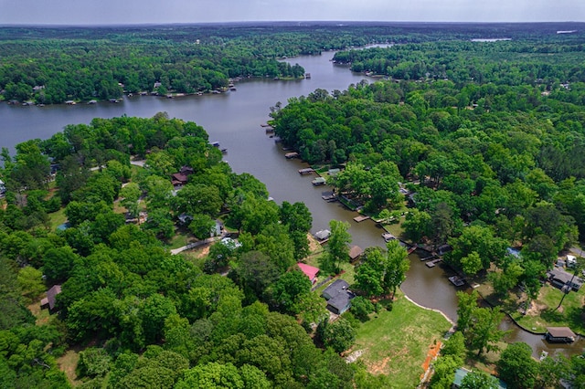 bird's eye view of a forest and a large body of water