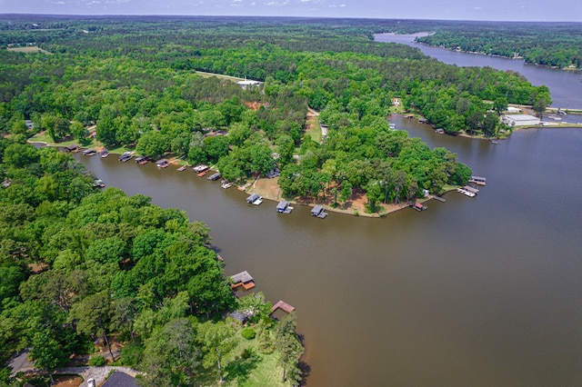 aerial overview of property's location featuring a heavily wooded area and a large body of water