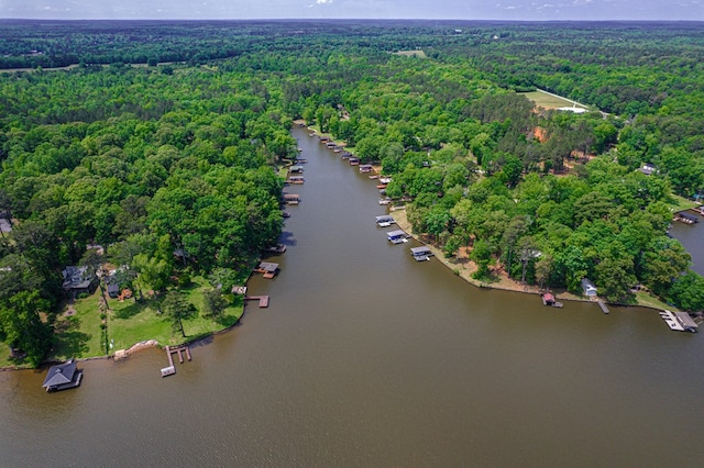 aerial view of property's location featuring a forest and a large body of water